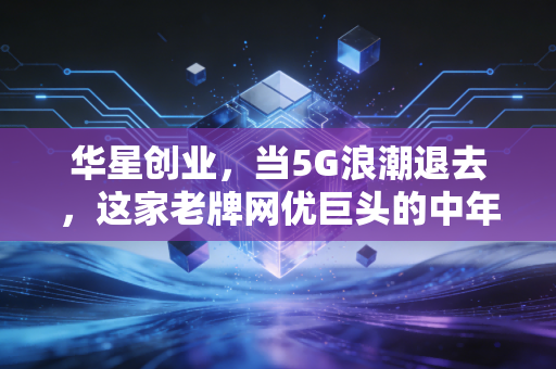 华星创业，当5G浪潮退去，这家老牌网优巨头的中年危机与突围之路