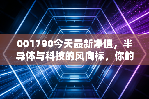001790今天最新净值,半导体与科技的风向标,你的钱包还好吗?