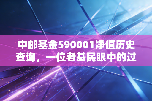 中邮基金590001净值历史查询,一位老基民眼中的过山车与投资启示