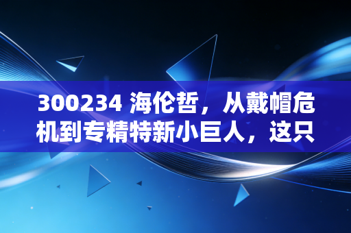 300234 海伦哲,从戴帽危机到专精特新小巨人,这只特种车能否重获新生?