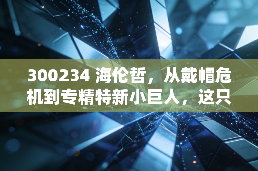 300234 海伦哲,从戴帽危机到专精特新小巨人,这只特种车能否重获新生?