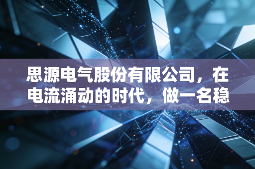 思源电气股份有限公司，在电流涌动的时代，做一名稳健的守夜人