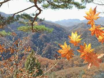 海峡股份为什么不涨,水土不服还是内部矛盾重重