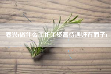 春兴(做什么工作工资高待遇好有面子)