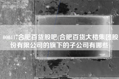 000417合肥百货股吧(合肥百货大楼集团股份有限公司的旗下的子公司有哪些)