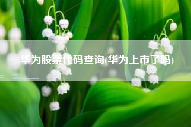 华为股票代码查询(华为上市了吗)