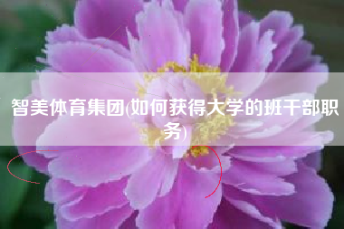 智美体育集团(如何获得大学的班干部职务)