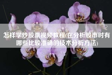 怎样学炒股票视频教程(在分析股市时有哪些比较准确的技术分析方法)