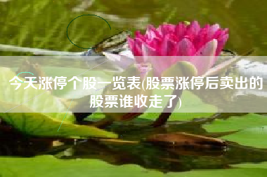 今天涨停个股一览表(股票涨停后卖出的股票谁收走了)
