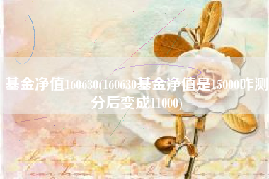 基金净值160630(160630基金净值是15000咋测分后变成11000)