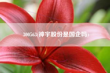 300563(神宇股份是国企吗)