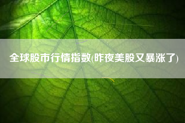 全球股市行情指数(昨夜美股又暴涨了)