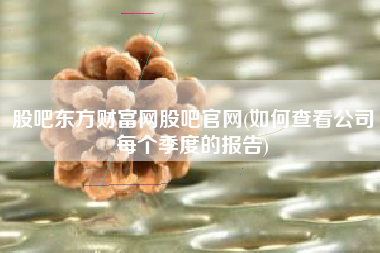 股吧东方财富网股吧官网(如何查看公司每个季度的报告)