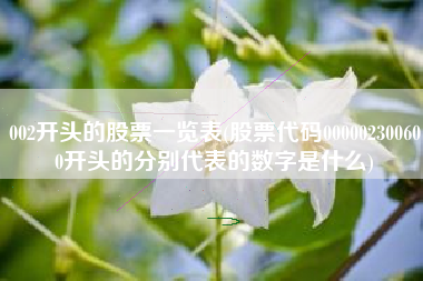 002开头的股票一览表(股票代码000002300600开头的分别代表的数字是什么)