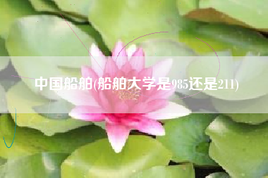 中国船舶(船舶大学是985还是211)