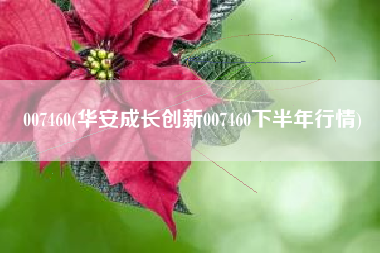007460(华安成长创新007460下半年行情)