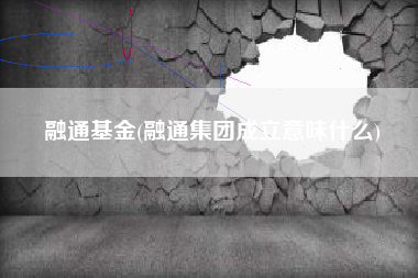 融通基金(融通集团成立意味什么)
