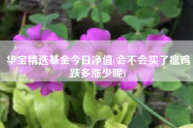 华宝精选基金今日净值(会不会买了瘟鸡跌多涨少呢)