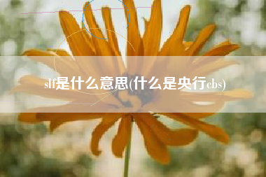 slf是什么意思(什么是央行cbs)