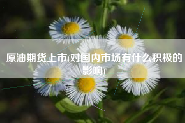 原油期货上市(对国内市场有什么积极的影响)