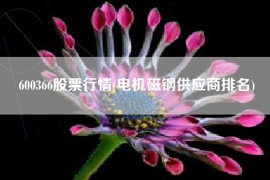 600366股票行情(电机磁钢供应商排名)