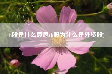 h股是什么意思(h股为什么是外资股)