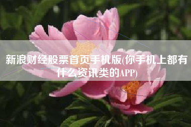 新浪财经股票首页手机版(你手机上都有什么资讯类的APP)