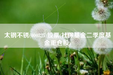 太钢不锈(000825)股票(社保基金二季度基金重仓股)