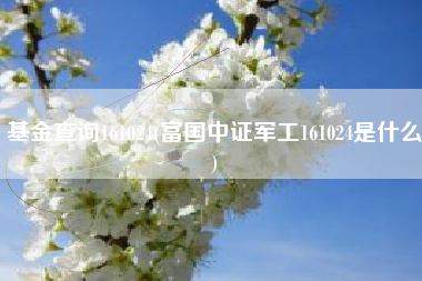 基金查询161024(富国中证军工161024是什么)
