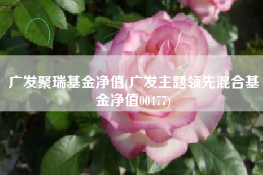 广发聚瑞基金净值(广发主题领先混合基金净值00477)