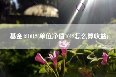 基金481012(单位净值1012怎么算收益)