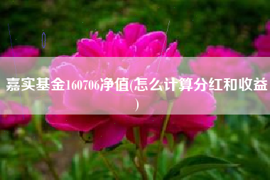 嘉实基金160706净值(怎么计算分红和收益)