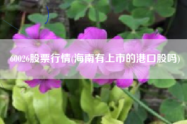60026股票行情(海南有上市的港口股吗)