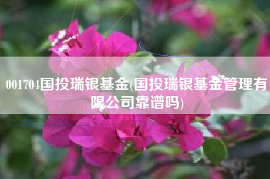 001704国投瑞银基金(国投瑞银基金管理有限公司靠谱吗)