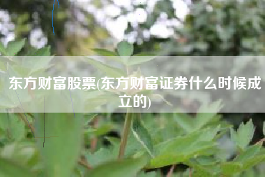 东方财富股票(东方财富证券什么时候成立的)