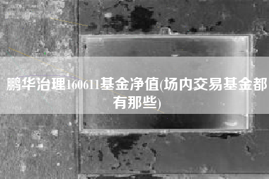鹏华治理160611基金净值(场内交易基金都有那些)