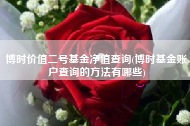 博时价值二号基金净值查询(博时基金账户查询的方法有哪些)