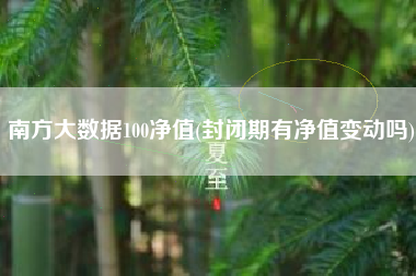 南方大数据100净值(封闭期有净值变动吗)