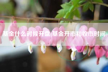 基金什么时候开盘(基金开市和收市时间)
