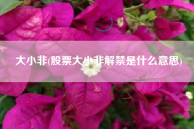 大小非(股票大小非解禁是什么意思)