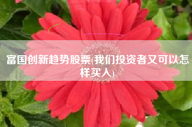 富国创新趋势股票(我们投资者又可以怎样买入)