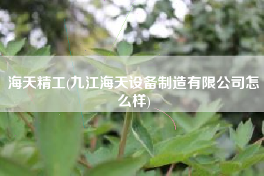 海天精工(九江海天设备制造有限公司怎么样)
