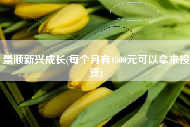 景顺新兴成长(每个月有1500元可以拿来投资)