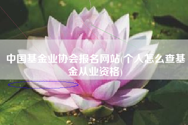 中国基金业协会报名网站(个人怎么查基金从业资格)