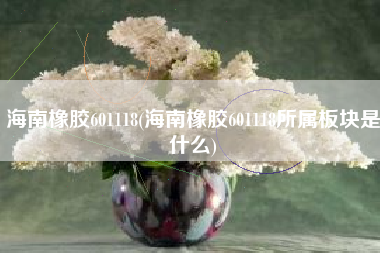 海南橡胶601118(海南橡胶601118所属板块是什么)