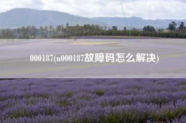 000187(u000187故障码怎么解决)