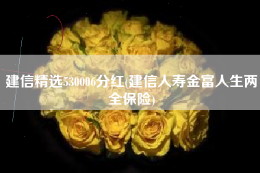 建信精选530006分红(建信人寿金富人生两全保险)
