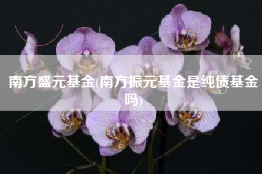 南方盛元基金(南方振元基金是纯债基金吗)