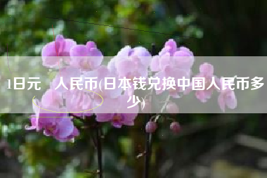1日元   人民币(日本钱兑换中国人民币多少)