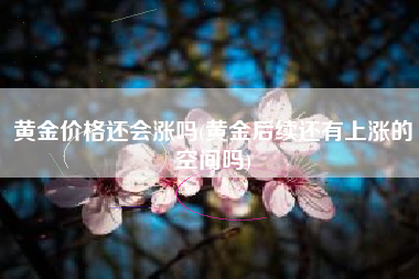 黄金价格还会涨吗(黄金后续还有上涨的空间吗)